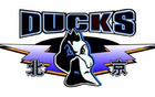 北京男籃2019-20賽季四強，后1-2負廣東失總決賽。
