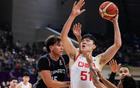 王治郅指出楊瀚森問(wèn)題，需解決方能立足NBA