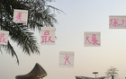 大連戰申花，門(mén)票半小時(shí)售完，馬萊萊VS米內羅精彩PK。