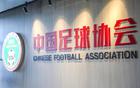 朱藝：腦震蕩規則需監督，修訂追蹤管理規則