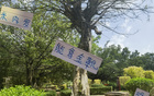 米內羅金靴，申花奪冠，范志毅95年輝煌再現。