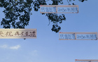 聽(tīng)賀偉解說(shuō)，國足世預賽免費直播，央視待定。