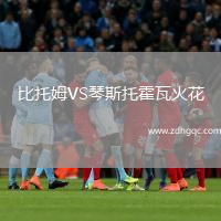 比托姆VS琴斯托霍瓦火花