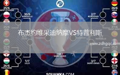 布杰約維采迪納摩VS特普利斯