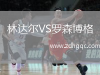 林達爾VS羅森博格