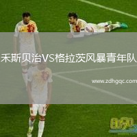 禾斯貝治VS格拉茨風(fēng)暴青年隊