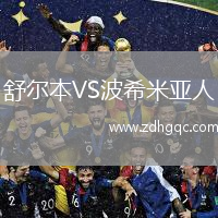 舒爾本VS波希米亞人