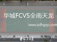 華城FCVS全南天龍