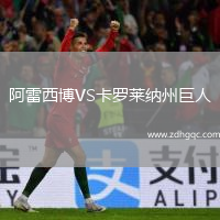 阿雷西博VS卡羅萊納州巨人