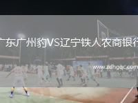 廣東廣州豹VS遼寧鐵人農商銀行