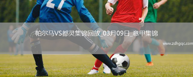 意甲-佩萊格里諾梅開(kāi)二度帕爾馬2-2都靈