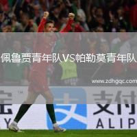 佩魯賈青年隊VS帕勒莫青年隊