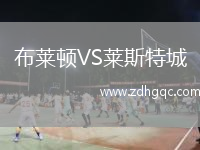 布萊頓VS萊斯特城