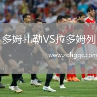 多姆扎勒VS拉多姆列