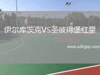 伊爾庫茨克VS圣彼得堡紅星