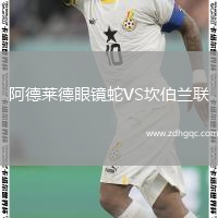 阿德萊德眼鏡蛇VS坎伯蘭聯(lián)