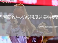 巴阿蒙牧牛人VS阿瓜達桑特羅斯