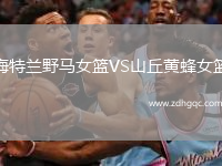 梅特蘭野馬女籃VS山丘黃蜂女籃