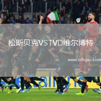 松斯貝克VSTVD維爾博特