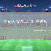 新潟天鵝VS品川區籃球隊