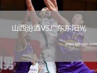 山西汾酒VS廣東東陽(yáng)光