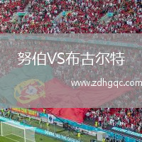 努伯VS布古爾特