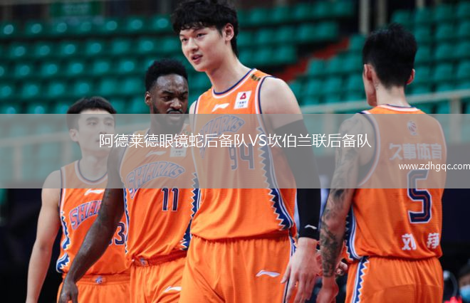 阿德萊德眼鏡蛇后備隊VS坎伯蘭聯(lián)后備隊