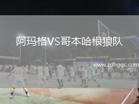 阿瑪格VS哥本哈根狼隊