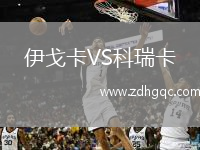 伊戈卡VS科瑞卡