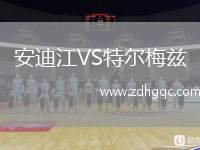 安迪江VS特爾梅茲