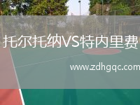 托爾托納VS特內里費