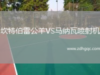 坎特伯雷公羊VS馬納瓦噴射機