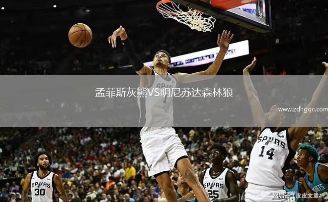 孟菲斯灰熊VS明尼蘇達森林狼