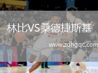 林比VS桑德捷斯基
