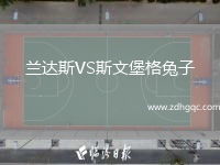 蘭達斯VS斯文堡格兔子