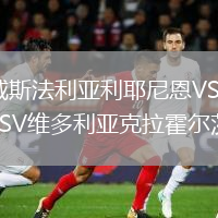 威斯法利亞利耶尼恩VSTSV維多利亞克拉霍爾茨