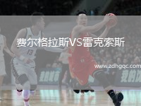 費爾格拉斯VS雷克索斯