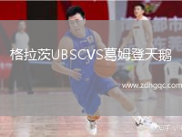 格拉茨UBSCVS葛姆登天鵝