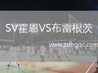 SV霍恩VS布雷根茨