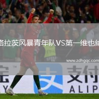 格拉茨風(fēng)暴青年隊VS第一維也納