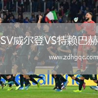 SV威爾登VS特賴(lài)巴赫