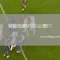 騎警流浪VSSD公鹿FC