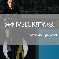 海利VSDJK維勒茲