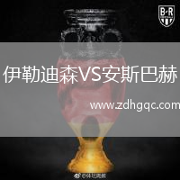 伊勒迪森VS安斯巴赫