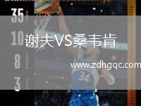 謝夫VS桑韋肯