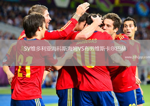 SV維多利亞?？扑购Ｄ稸S布勞維斯卡爾巴赫