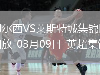 03月09日英超第28輪切爾西vs萊斯特城精彩片段