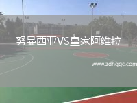 努曼西亞VS皇家阿維拉