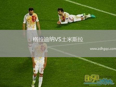 格拉迪納VS土米斯拉