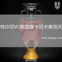 特沙尼VS斯圖普卡尼卡奧洛沃